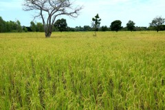 WhatsApp-Image-2025-11-12-at-10.28.14