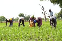 WhatsApp-Image-2025-11-12-at-10.28.15-5