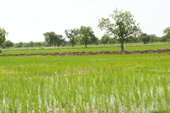 WhatsApp-Image-2025-11-12-at-10.28.15-6