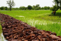 WhatsApp-Image-2025-11-12-at-10.28.16-1