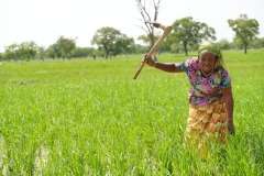 WhatsApp-Image-2025-11-12-at-10.28.16-2