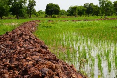 WhatsApp-Image-2025-11-12-at-10.28.16-6