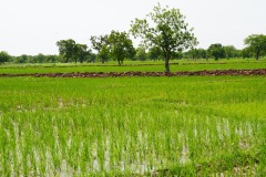 WhatsApp-Image-2025-11-12-at-10.28.16