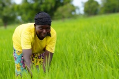 WhatsApp-Image-2025-11-12-at-10.28.18-5