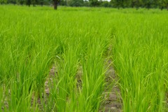 WhatsApp-Image-2025-11-12-at-10.28.18-6