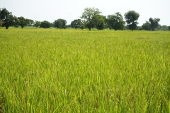 WhatsApp-Image-2025-11-12-at-10.28.19-5