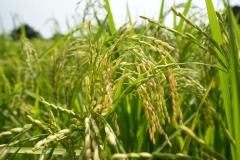 WhatsApp-Image-2025-11-12-at-10.28.19-6