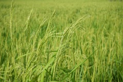 WhatsApp-Image-2025-11-12-at-10.28.20-1