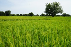 WhatsApp-Image-2025-11-12-at-10.28.20-2