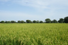 WhatsApp-Image-2025-11-12-at-10.28.20-3