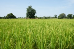 WhatsApp-Image-2025-11-12-at-10.28.20-4