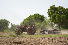 WhatsApp-Image-2025-11-12-at-10.36.37-1