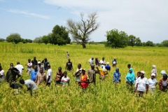 WhatsApp-Image-2025-11-12-at-10.36.37-2