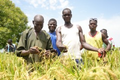 WhatsApp-Image-2025-11-12-at-10.36.37-5