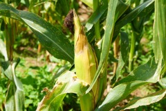 WhatsApp-Image-2025-11-12-at-10.36.38-5