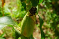 WhatsApp-Image-2025-11-12-at-10.36.38-6