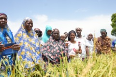 WhatsApp-Image-2025-11-12-at-10.36.38