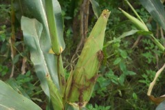 WhatsApp-Image-2025-11-12-at-10.36.39-2