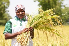 WhatsApp-Image-2025-11-12-at-10.36.40-2