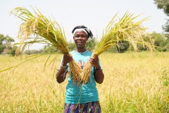 WhatsApp-Image-2025-11-12-at-10.36.40-3