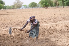 WhatsApp-Image-2025-11-12-at-10.36.42-4