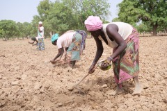 WhatsApp-Image-2025-11-12-at-10.36.42-5