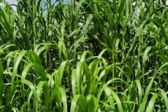 WhatsApp-Image-2025-11-12-at-10.36.43-5